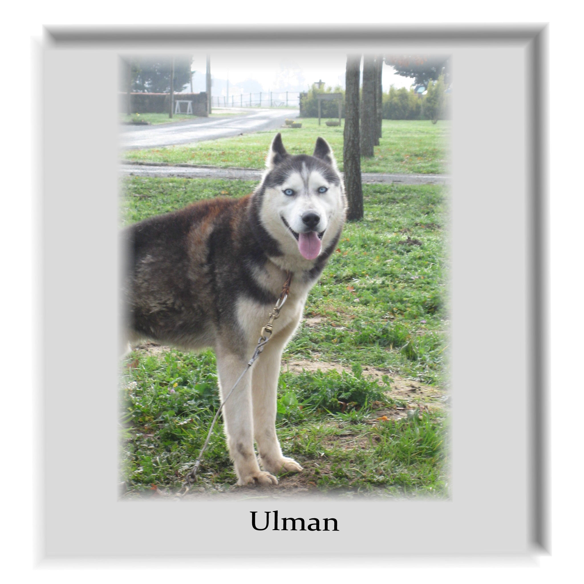 Ulman