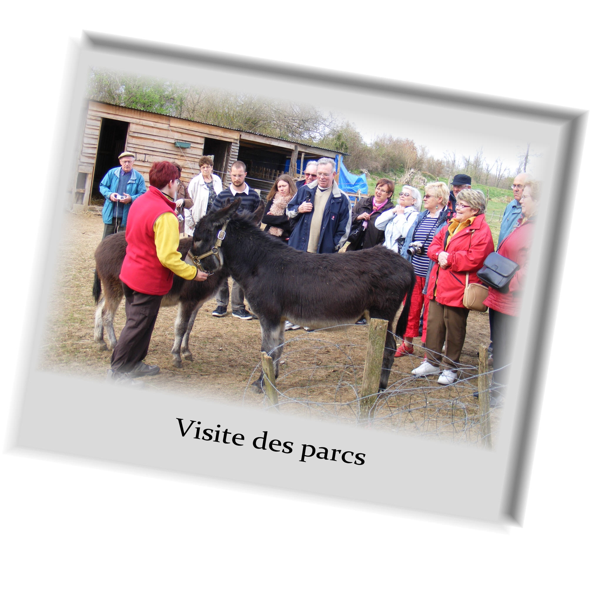 visite 2