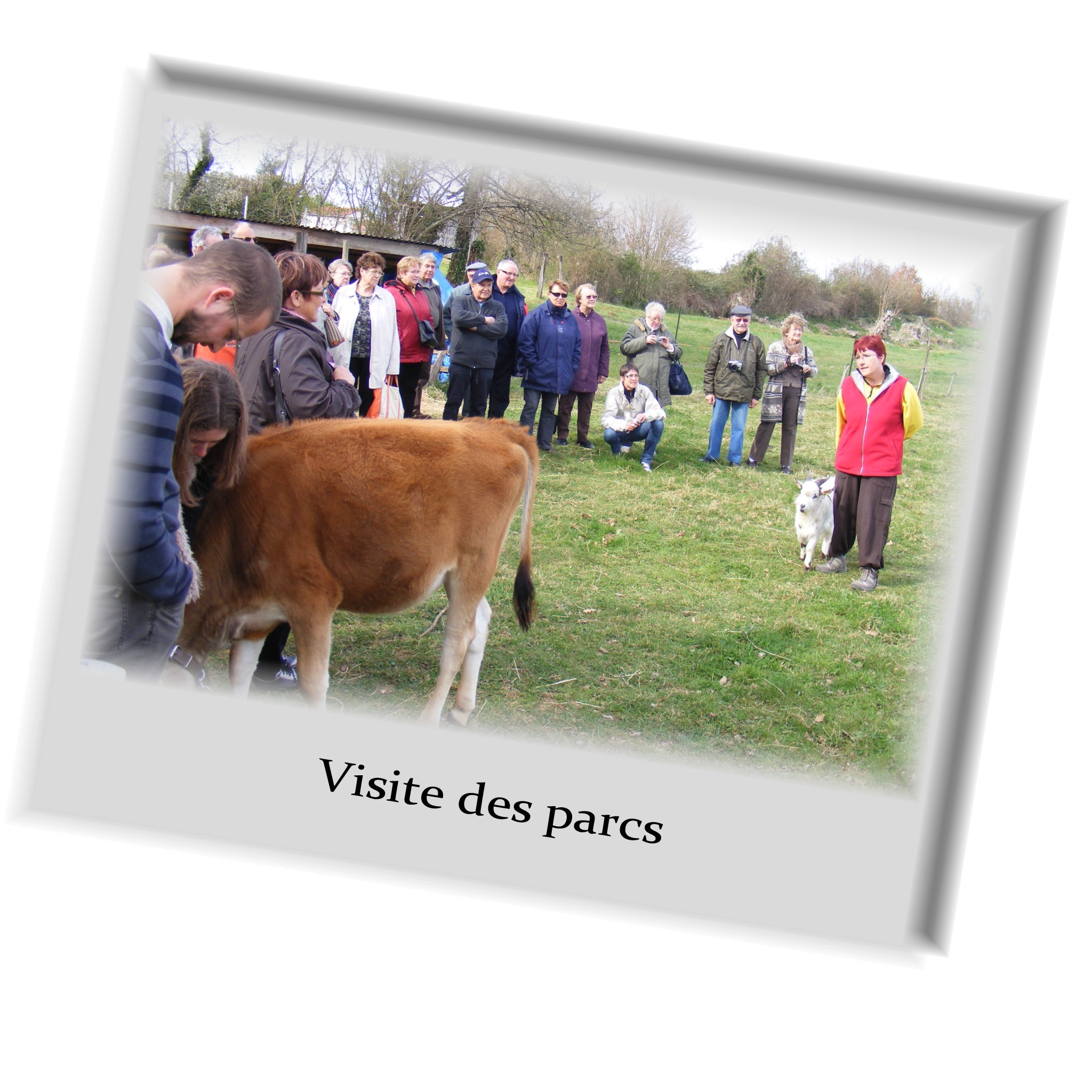 visite